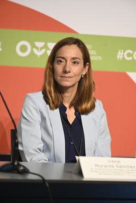 Irene Morante Sánchez